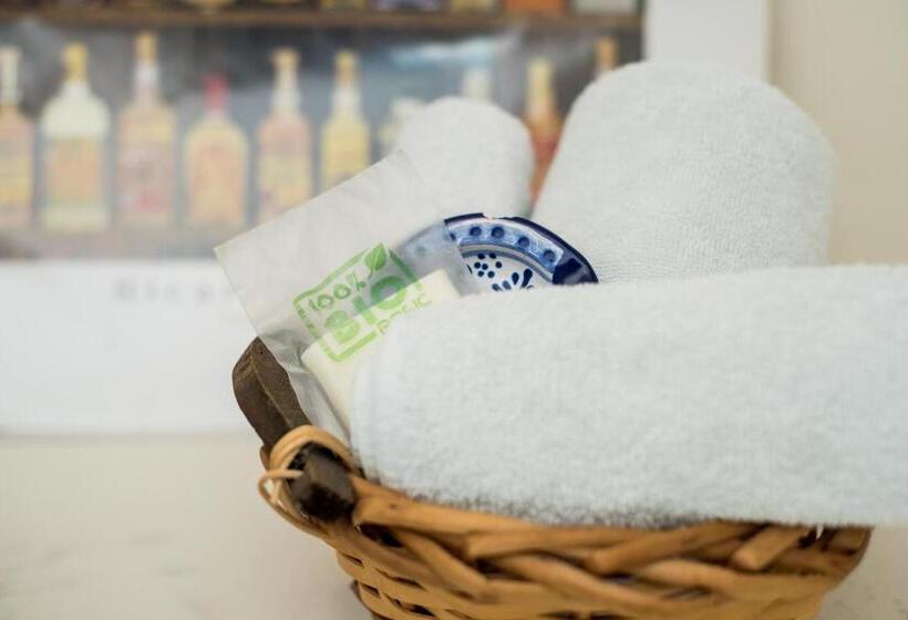اتاق لوکس با تخت بزرگ, Hidalgo Boutique Rooms