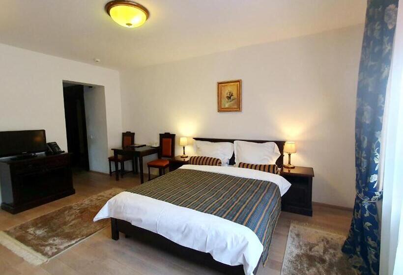 اتاق سوپریور, Vila Leonida   Resort Leonida