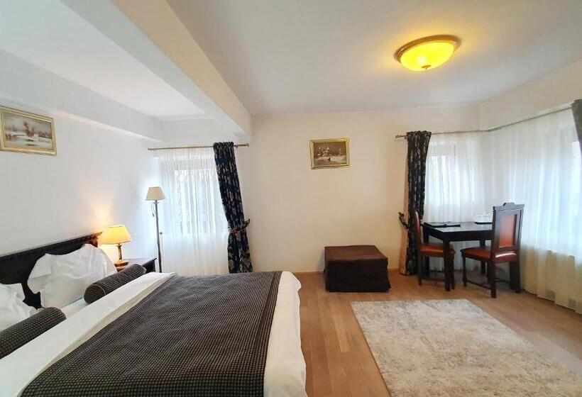 اتاق سوپریور, Vila Leonida   Resort Leonida