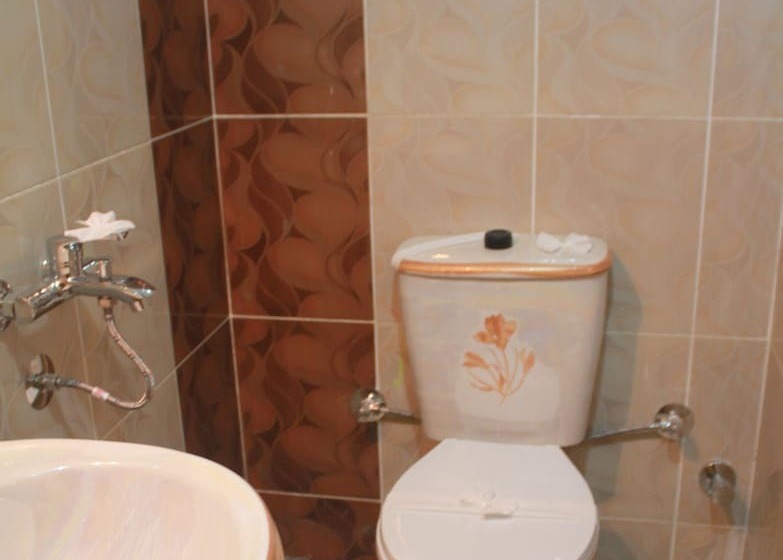 اتاق استاندارد, Minerva Grand Hostel Cairo