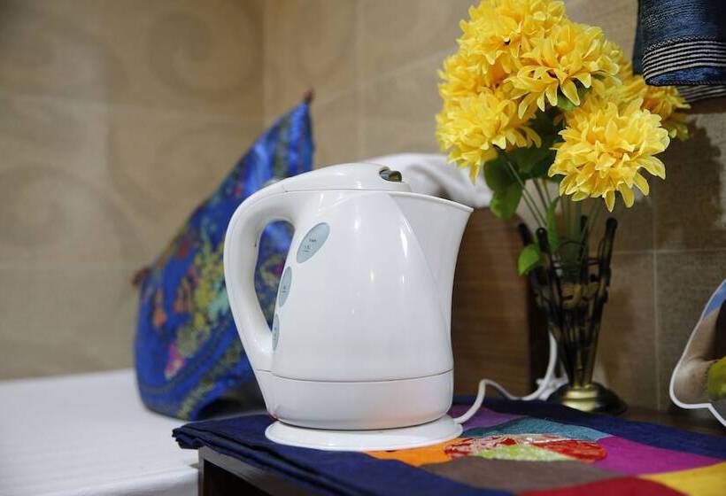 اتاق خانوادگی, Sandhu Guest House