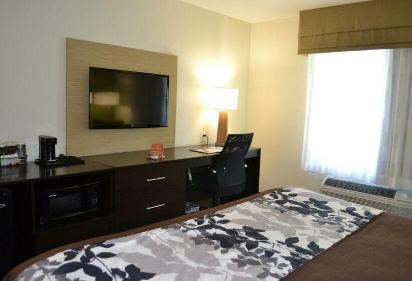 Стандартный Номер Кровать Кинг, Sleep Inn & Suites Belmont   St. Clairsville