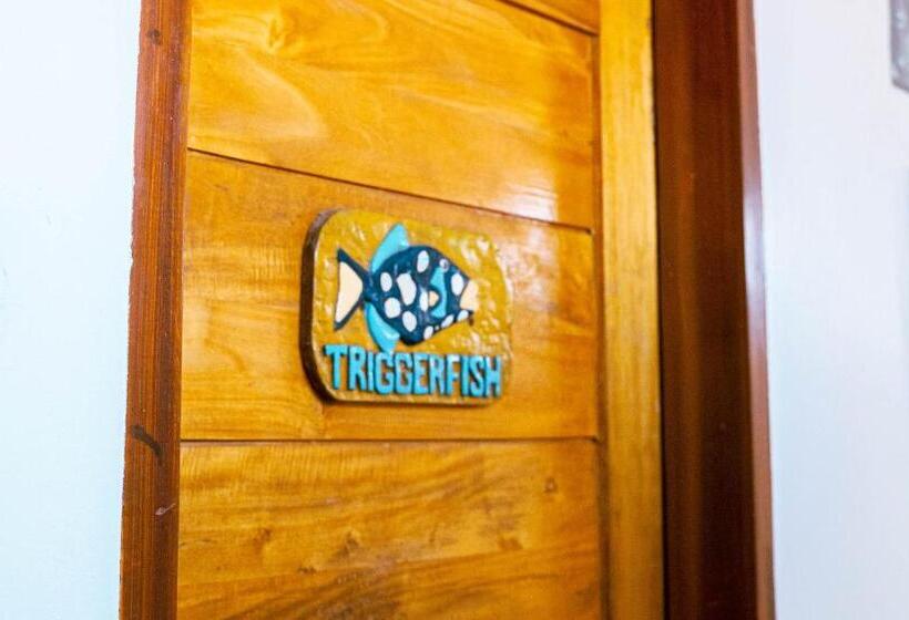 Quarto Deluxe com Sacada, Divegurus Boracay Beach Resort