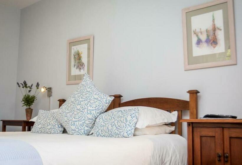 Номер Стандарт, Jenny's Guest House