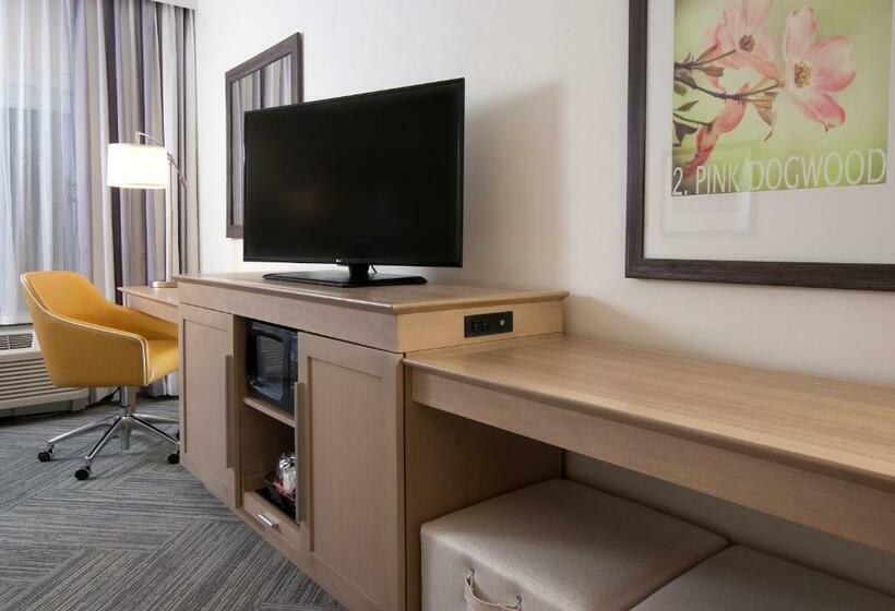 스탠다드 룸 킹사이즈 침대, Hampton Inn & Suites By Hilton Augustawashington Rd