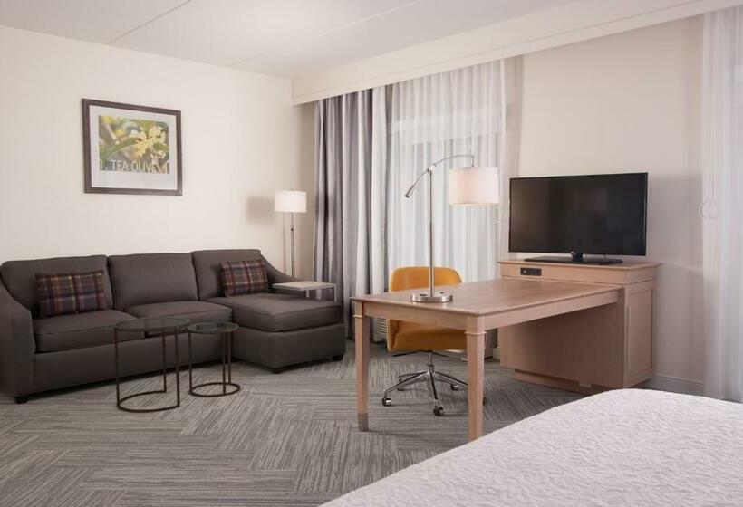 디럭스 스위트 킹 침대, Hampton Inn & Suites By Hilton Augustawashington Rd
