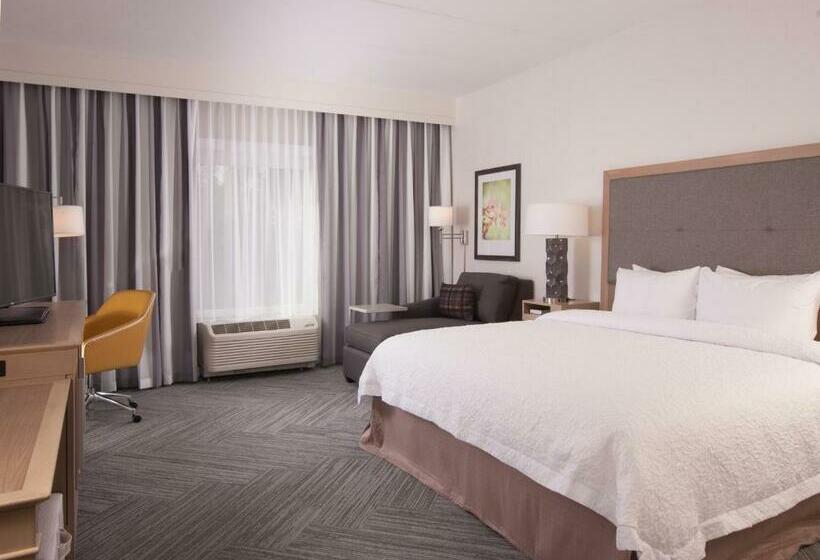 장애인을 위한 킹사이즈 침대 스탠다드 룸, Hampton Inn & Suites By Hilton Augustawashington Rd