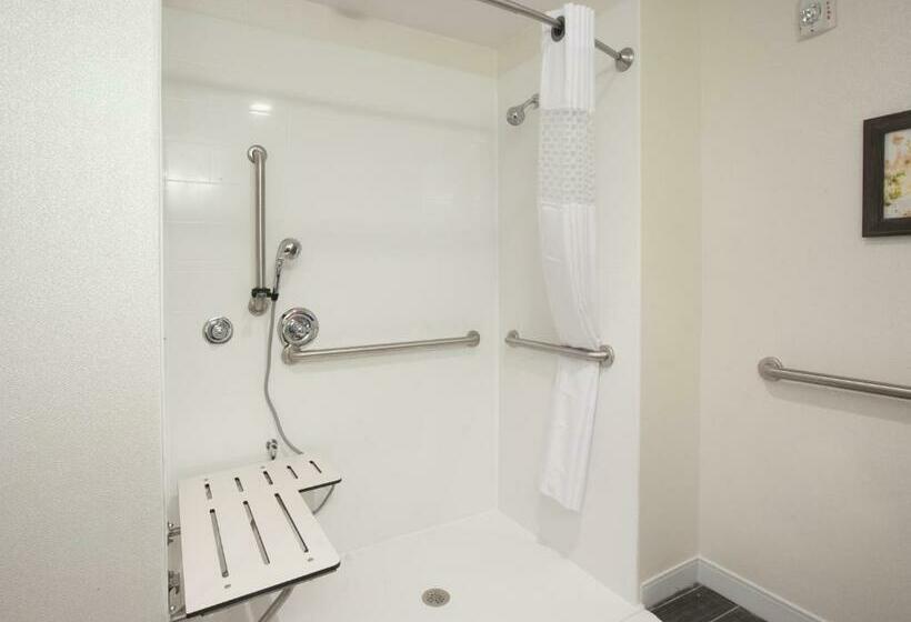 장애인을 위한 킹사이즈 침대 스탠다드 룸, Hampton Inn & Suites By Hilton Augustawashington Rd