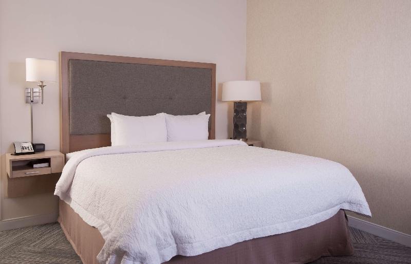 스탠다드 룸 킹사이즈 침대, Hampton Inn & Suites By Hilton Augustawashington Rd