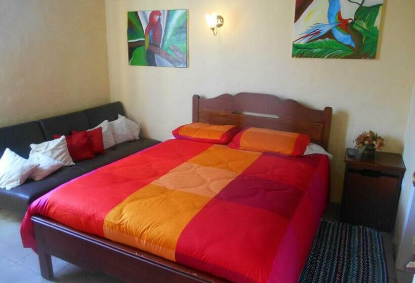 스탠다드 룸, La Casa Amarilla