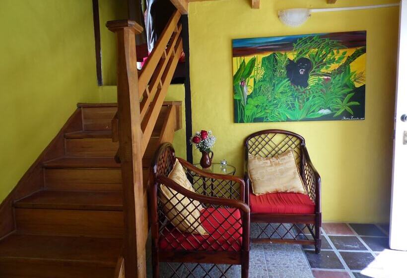 패밀리 룸, La Casa Amarilla