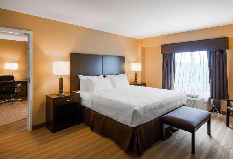 Номер Стандарт Кровать Кинг Адаптированный для Инвалидов, Best Western Plus Thornburg Inn & Suites