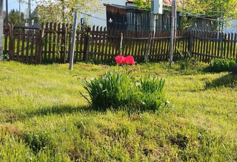 اتاق یک تخته با چشم‌انداز باغ, Central Rustic House