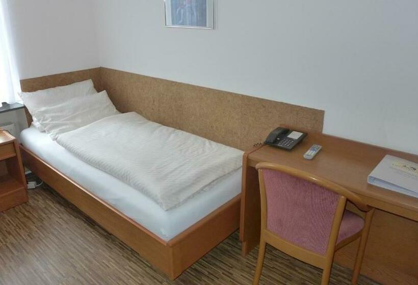 스탠다드 싱글 룸, Central Hotel Greiveldinger
