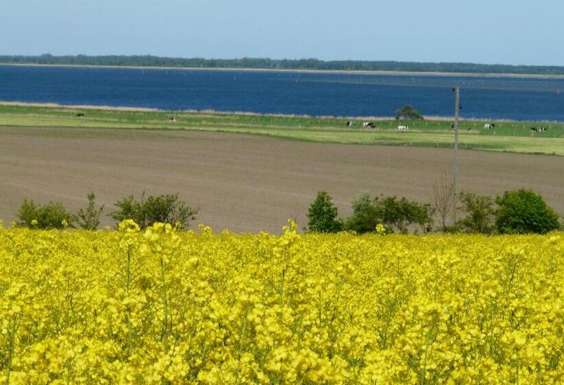 Номер Стандарт Вид на Озеро, Seeblick