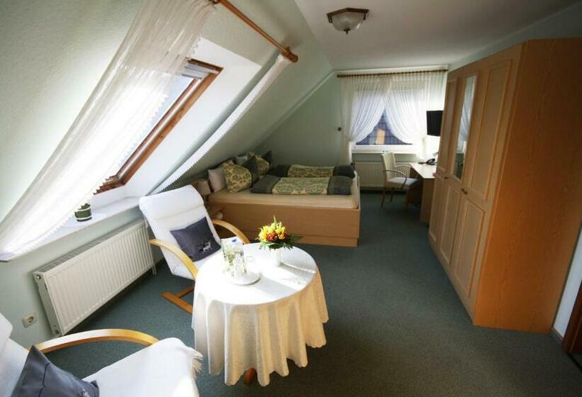 Номер Стандарт, Parkhotel Phoenix Garni