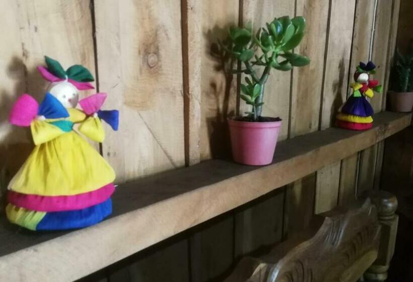 스탠다드 테라스 룸, La Cabaña Del Mazatl Hostel B&b