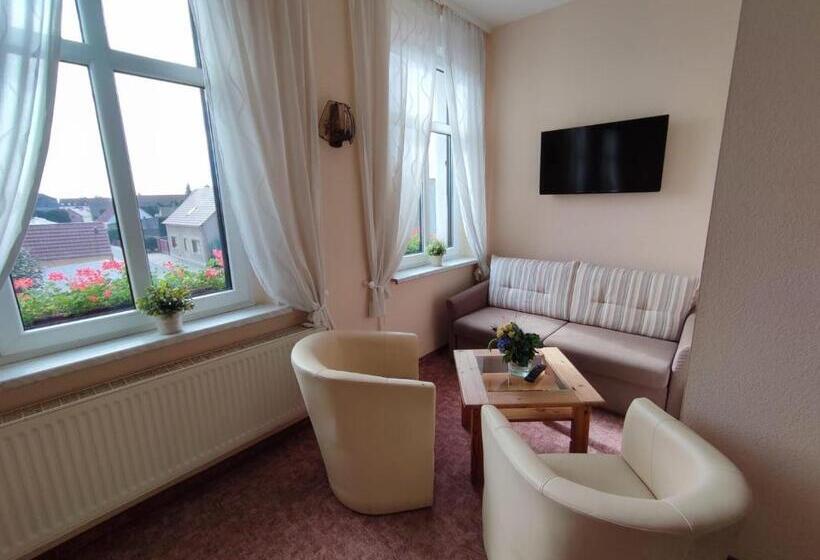 اتاق استاندارد, Pension Am Stadtgraben
