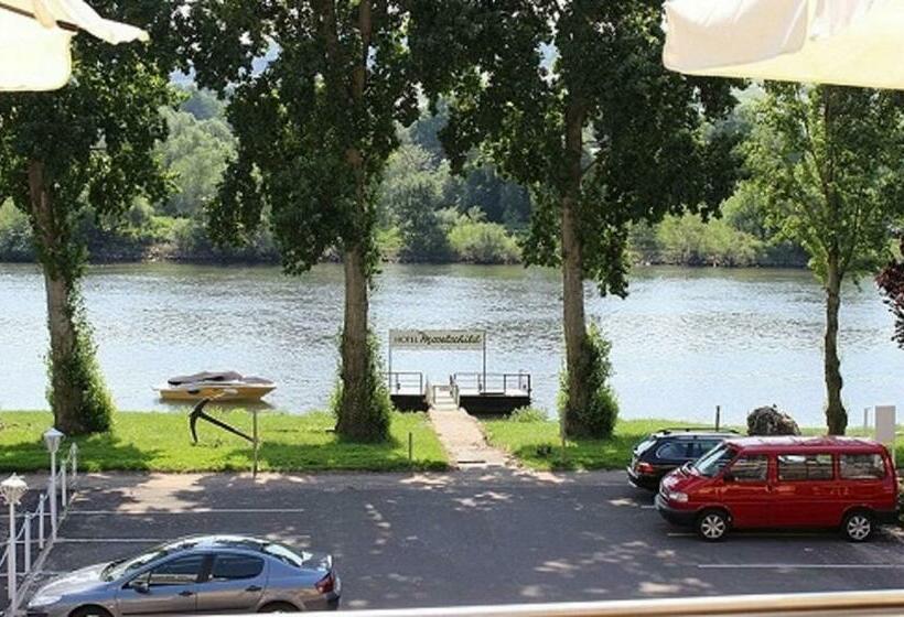Номер Стандарт Вид на Реку, Garni Hotel Moselschild