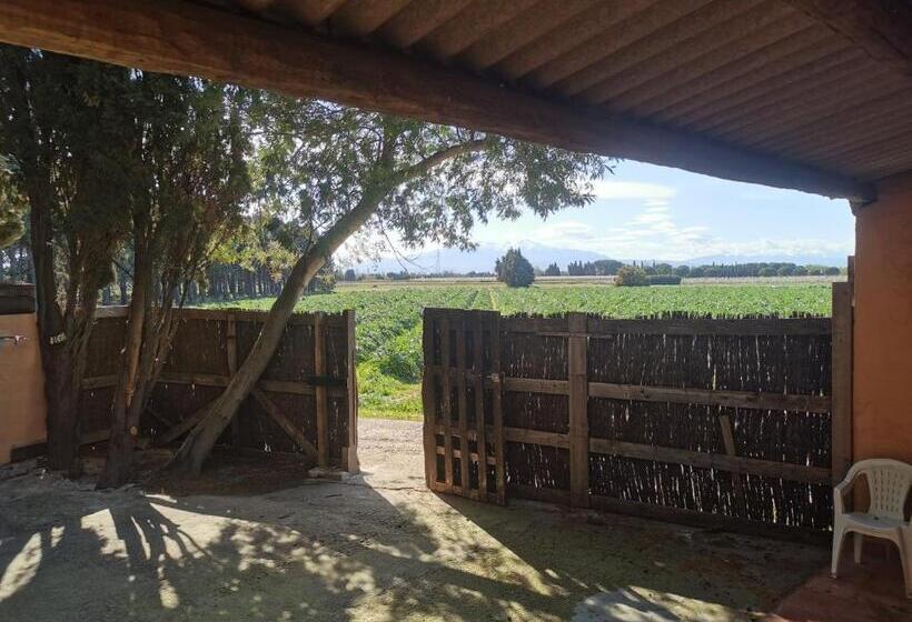 Дом 1 Спальня, Domaine Du Mas Bazan