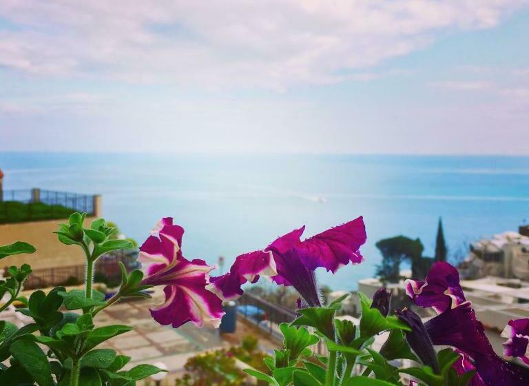 Cameră Standard cu Balcon, Villa Delle Palme In Positano