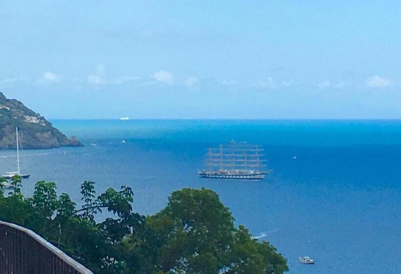 Cameră Deluxe, Villa Delle Palme In Positano