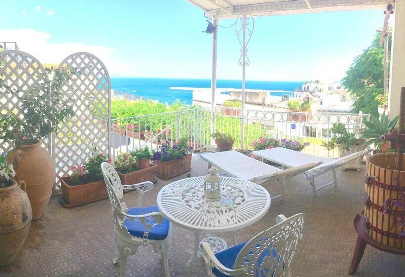 Cameră Standard cu Terasă, Villa Delle Palme In Positano