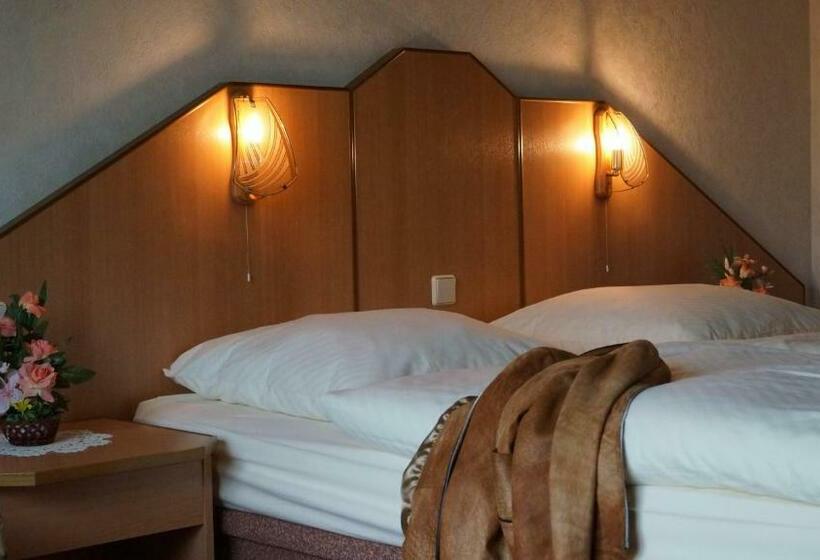 Номер Стандарт, Richzenhainer Hof