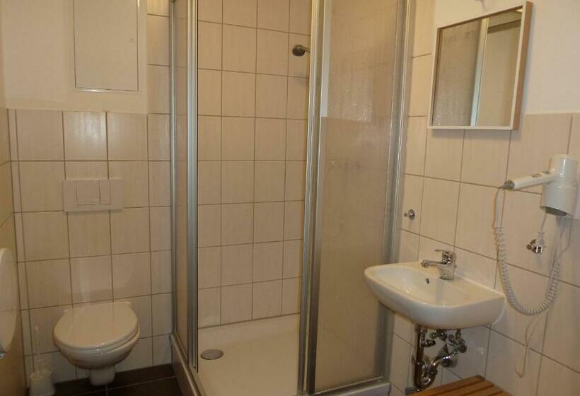 标准单人间, Wittenberg Hotel Garni