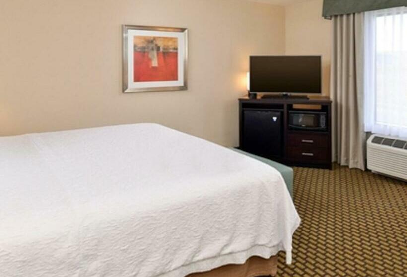 스탠다드 룸 킹사이즈 침대, Hampton Inn & Suites Douglas