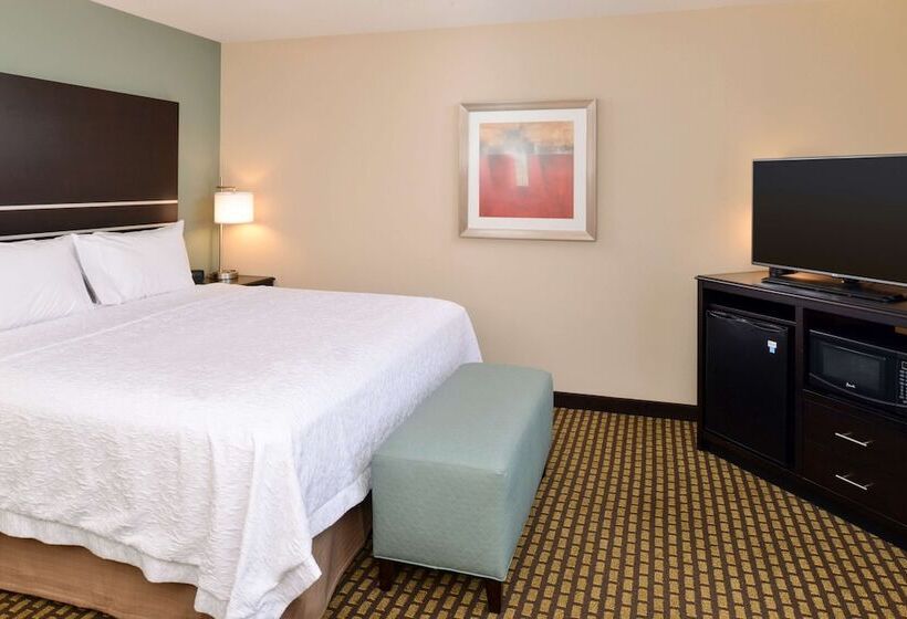 스탠다드 룸 킹사이즈 침대, Hampton Inn & Suites Douglas