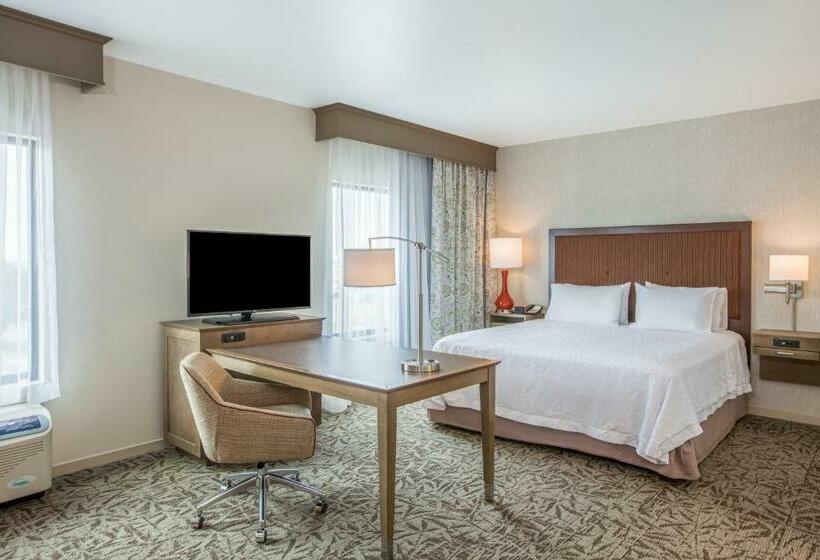 חדר דלוקס עם מיטת קינג, Hampton Inn & Suites Pasco/tricities