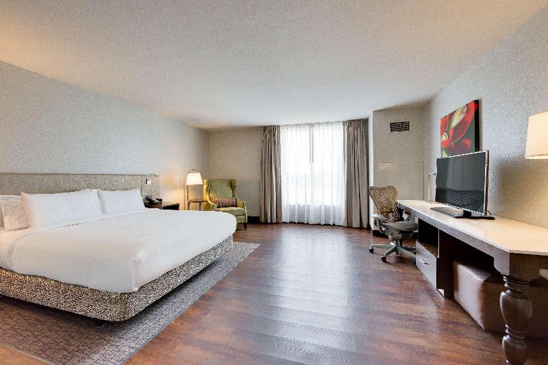 Стандартный Номер Кровать Кинг, Hilton Garden Inn North Houston Spring
