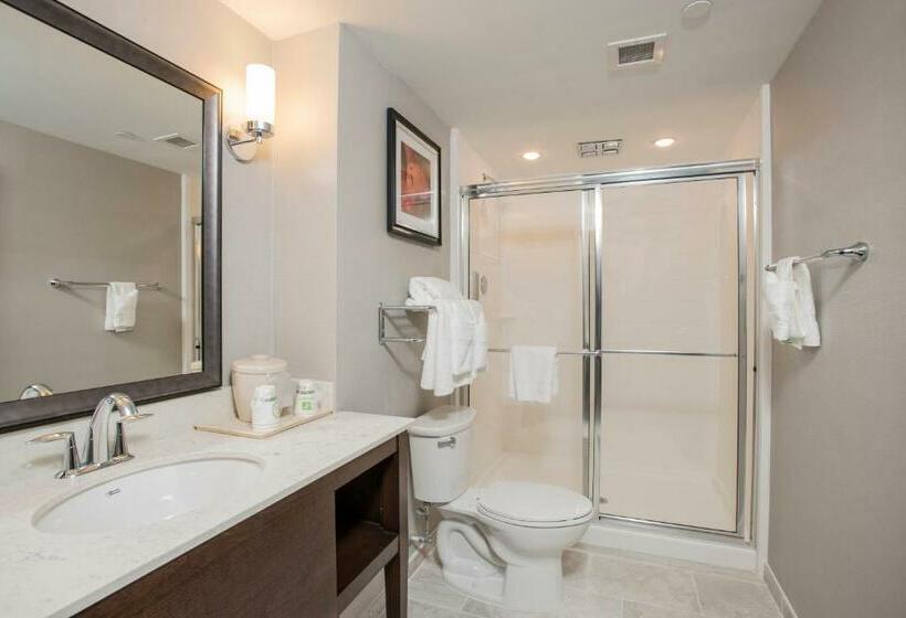 Люкс Кровать Кинг, Voco The Clair Cincinnati Downtown, An Ihg