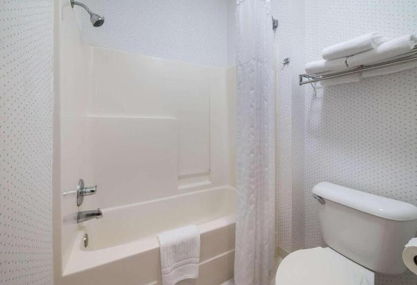 Стандартный Номер Кровать Кинг, Rodeway Inn Urbana Champaign University Area