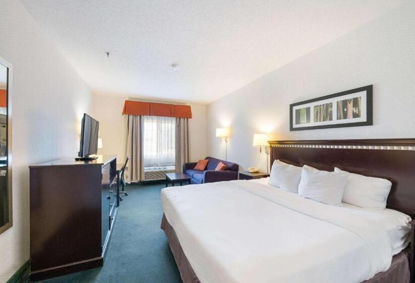 Стандартный Номер Кровать Кинг, Rodeway Inn Urbana Champaign University Area