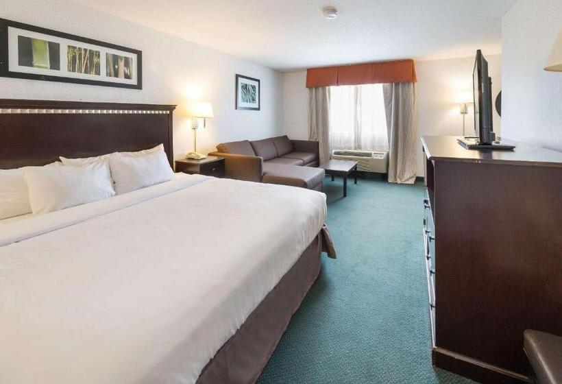 Люкс Кровать Кинг, Rodeway Inn Urbana Champaign University Area
