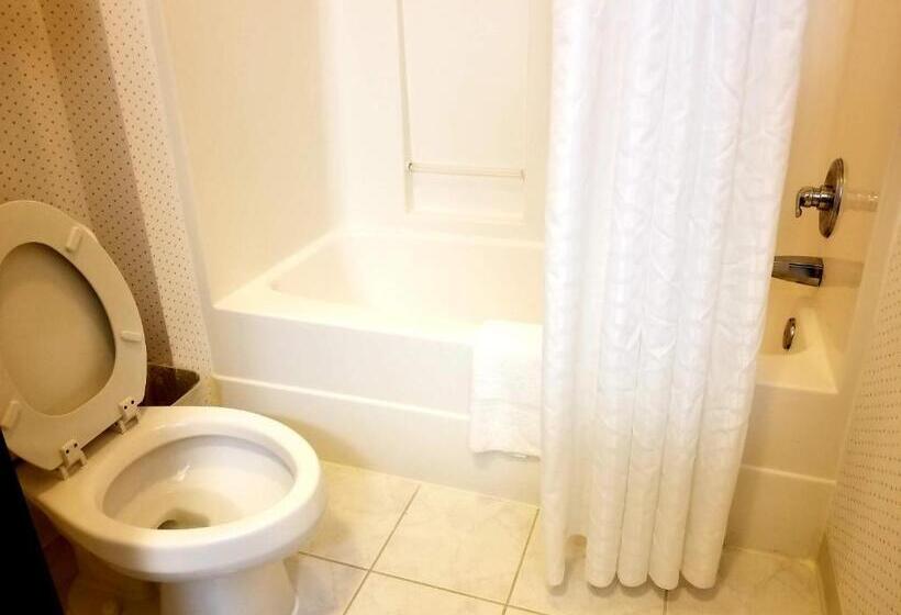 Люкс Кровать Кинг, Rodeway Inn Urbana Champaign University Area