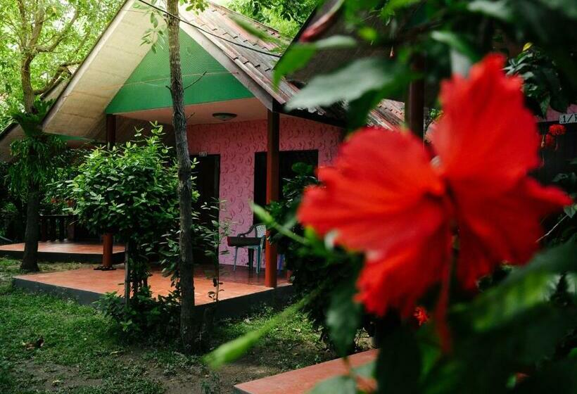 Номер Стандарт, Coral Bungalows