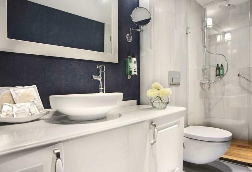 Suíte Deluxe, Astan Hotel Galata
