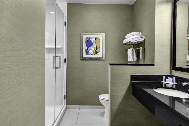 스탠다드 룸 킹사이즈 침대, Fairfield Inn & Suites By Marriott Lansing At Eastwood