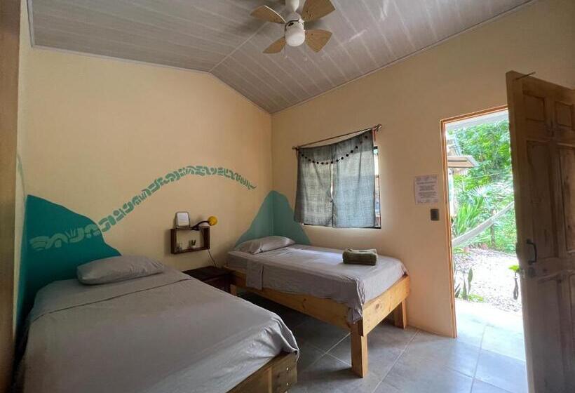 标准间, Casitas Jungla