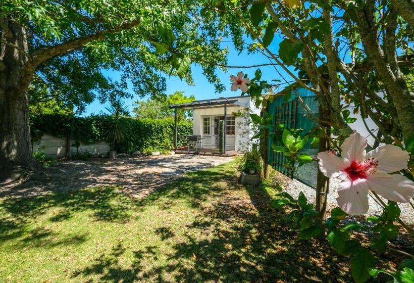Студия Стандарт, Oude Berg Guesthouse   10 Caledon Street