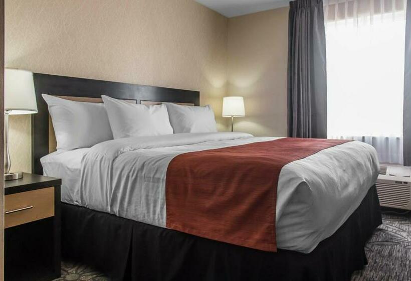 Стандартный Номер Кровать Кинг, Quality Inn & Suites Kingston