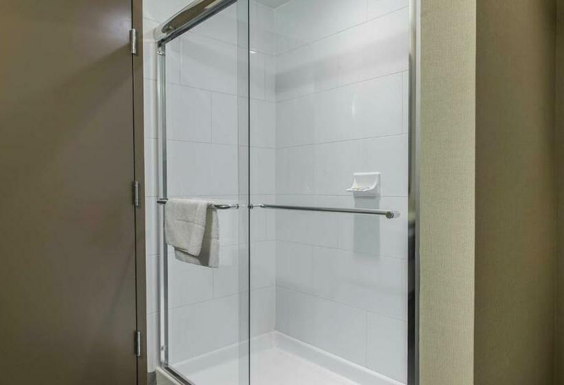 Номер Стандарт, Quality Inn & Suites Kingston