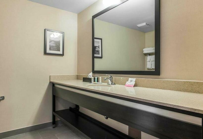 Стандартный Номер Кровать Кинг, Quality Inn & Suites Kingston