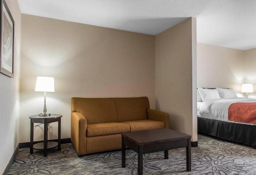 Люкс Кровать Кинг, Quality Inn & Suites Kingston