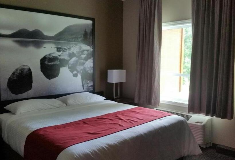Люкс, Super 8 By Wyndham Mont Laurier