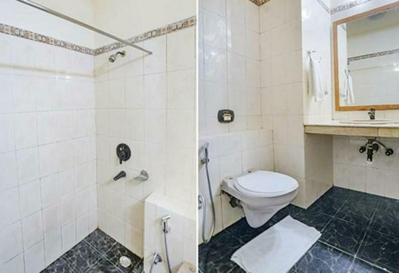豪华房间, Fabhotel Altus