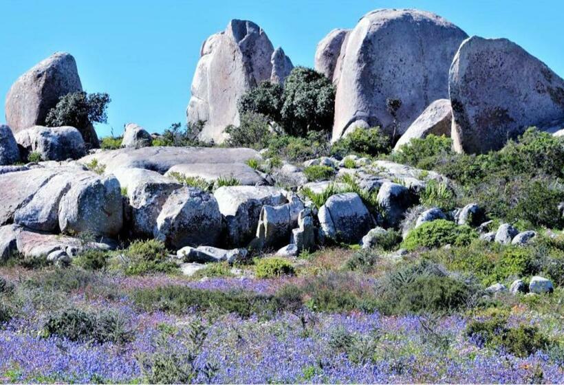 Стандартный Номер Кровать Кинг, The Boulders Langebaan
